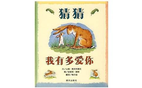  《猜猜我有多爱你》活动反思