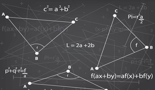  学习《小学数学新课程标准》心得体会