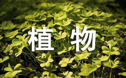  《水生植物》教学反思