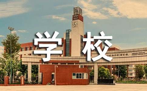  学校个人年终工作总结