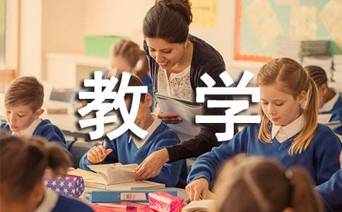  小学教学计划