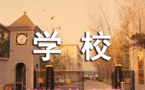  学校网络安全宣传总结